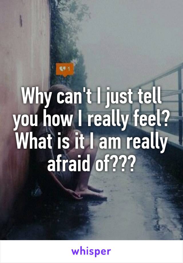 Why can't I just tell you how I really feel? What is it I am really afraid of???