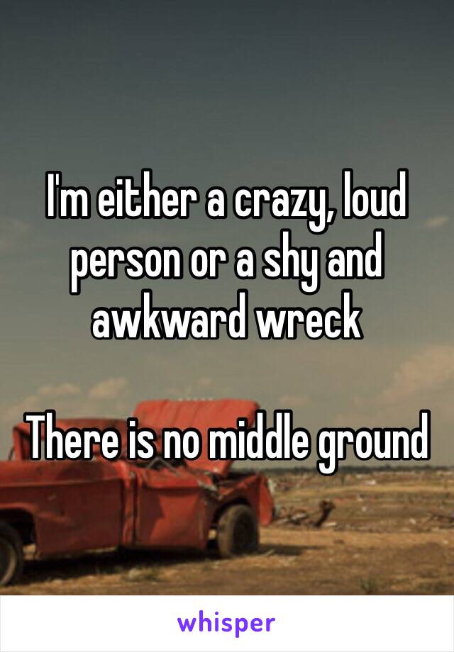 I'm either a crazy, loud person or a shy and awkward wreck 

There is no middle ground