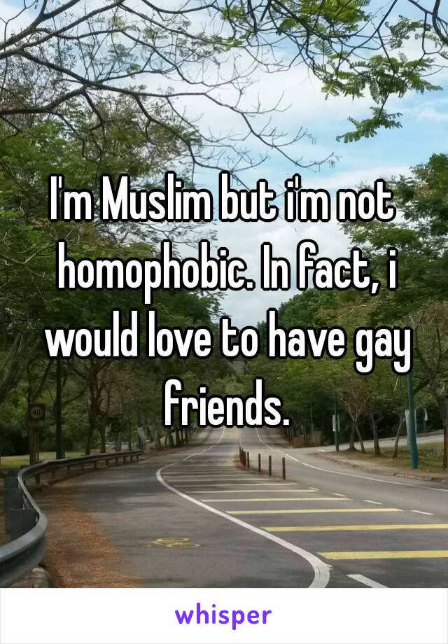 I'm Muslim but i'm not homophobic. In fact, i would love to have gay friends.