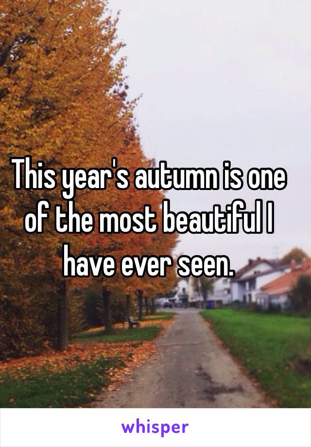 This year's autumn is one of the most beautiful I have ever seen. 