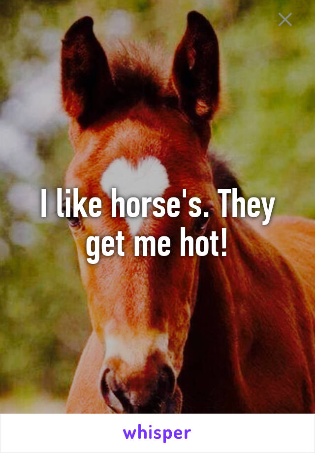 I like horse's. They get me hot!