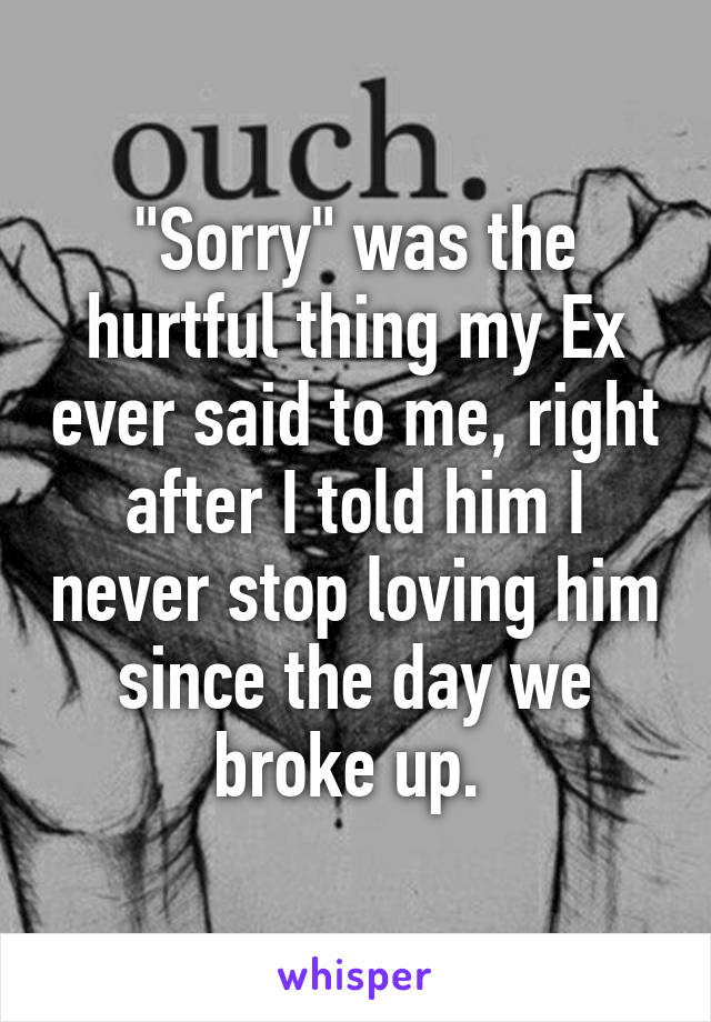 "Sorry" was the hurtful thing my Ex ever said to me, right after I told him I never stop loving him since the day we broke up. 