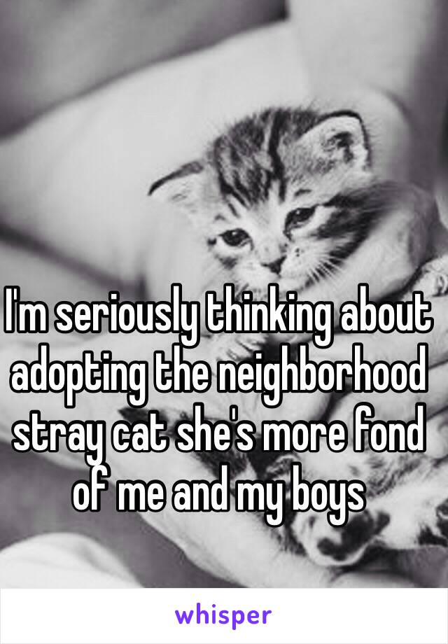 I'm seriously thinking about adopting the neighborhood stray cat she's more fond of me and my boys  