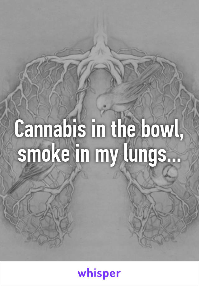 Cannabis in the bowl, smoke in my lungs...