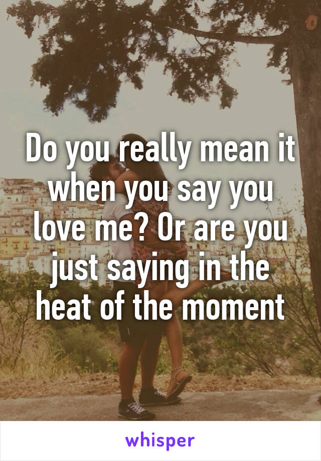 Do you really mean it when you say you love me? Or are you just saying in the heat of the moment