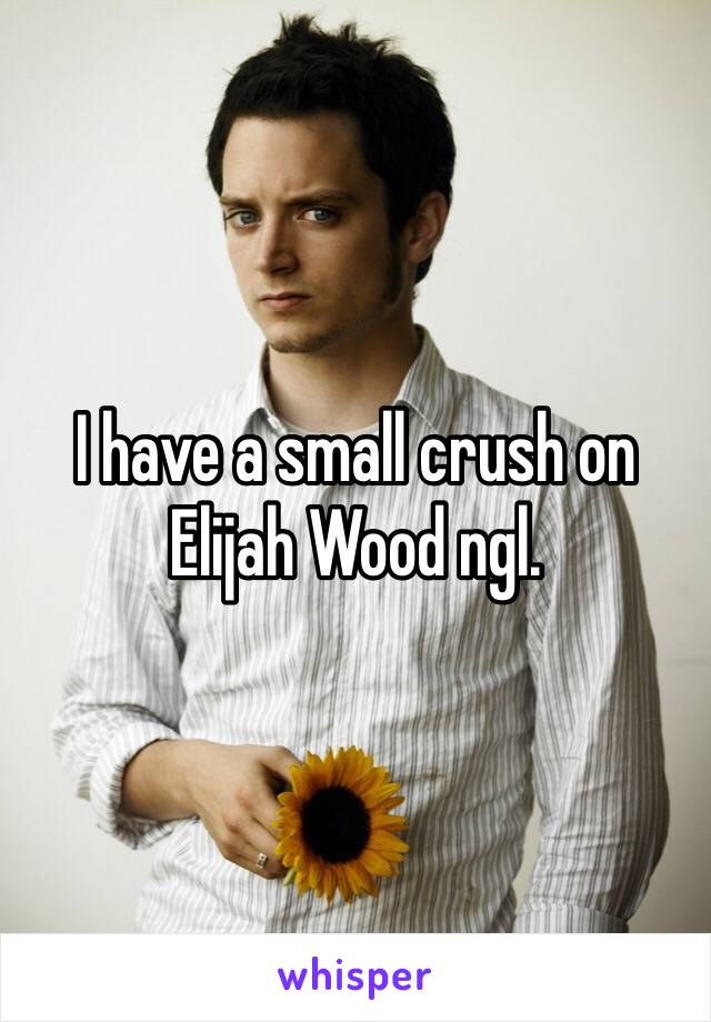 I have a small crush on Elijah Wood ngl.