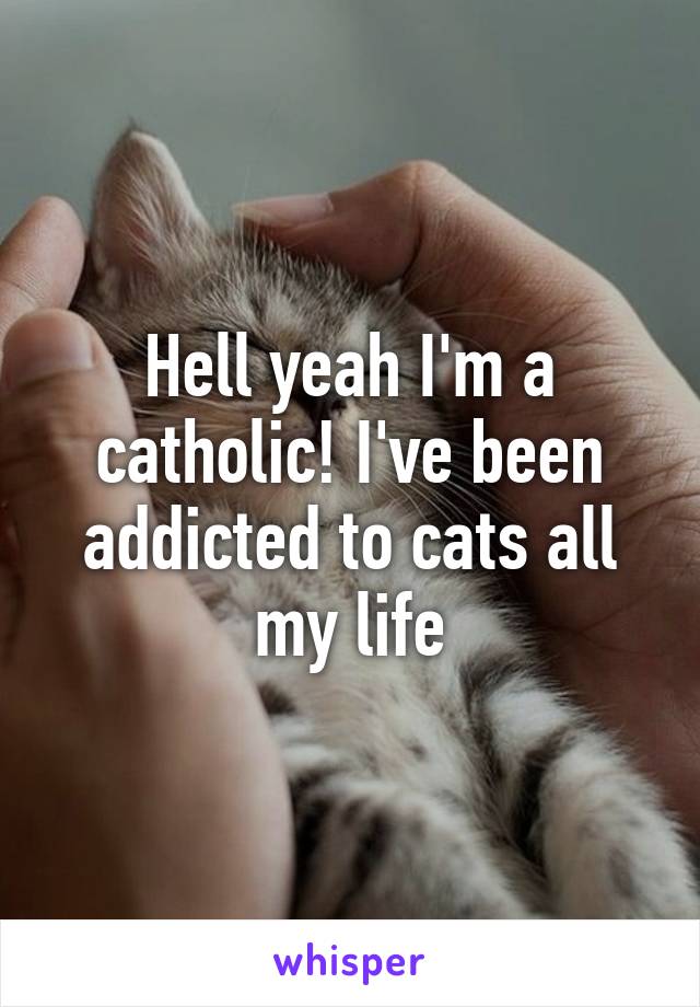 Hell yeah I'm a catholic! I've been addicted to cats all my life