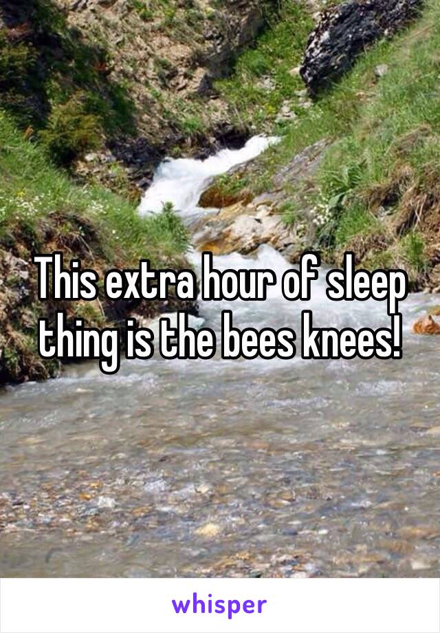 This extra hour of sleep thing is the bees knees!