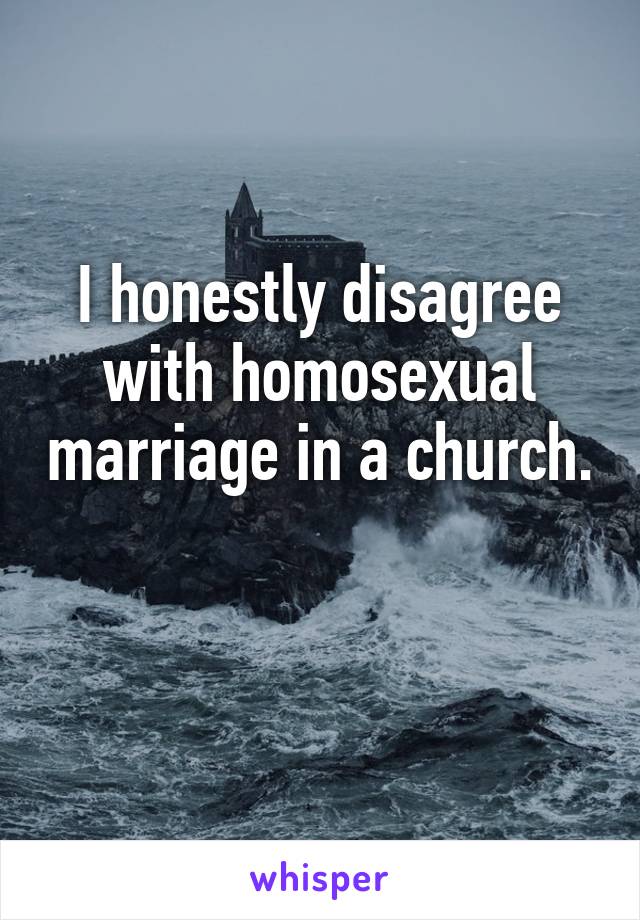 I honestly disagree with homosexual marriage in a church.  
