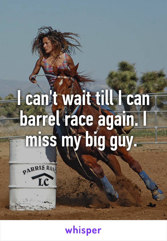 I can't wait till I can barrel race again. I miss my big guy. 