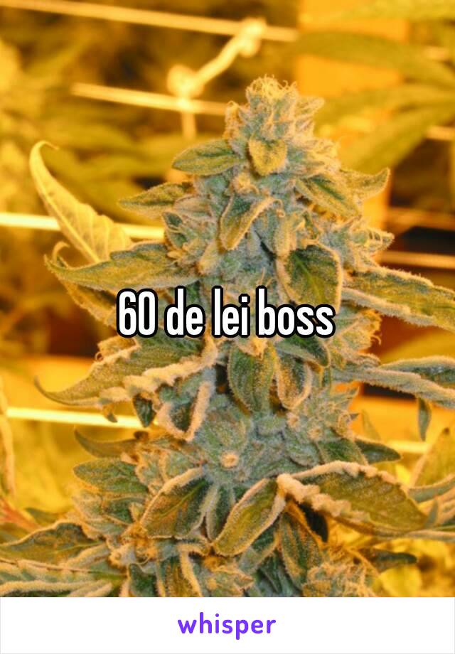 60 de lei boss