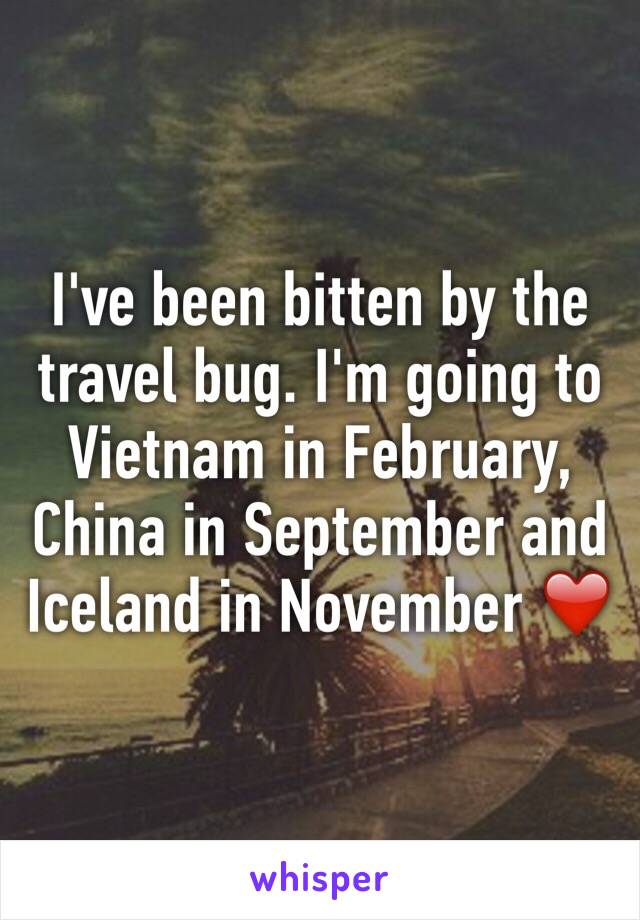 I've been bitten by the travel bug. I'm going to Vietnam in February, China in September and Iceland in November ❤️