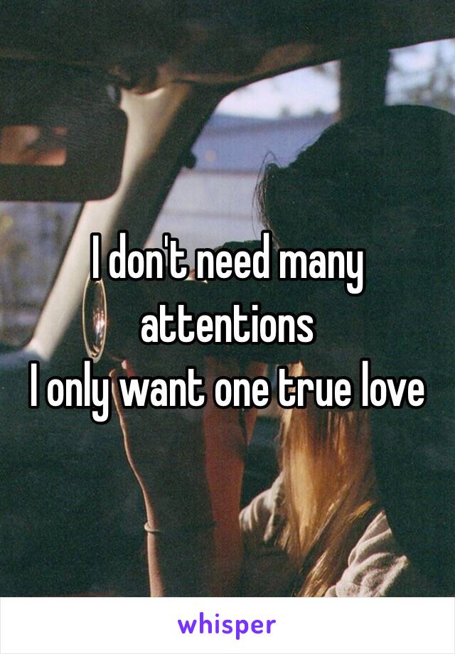 I don't need many attentions
I only want one true love