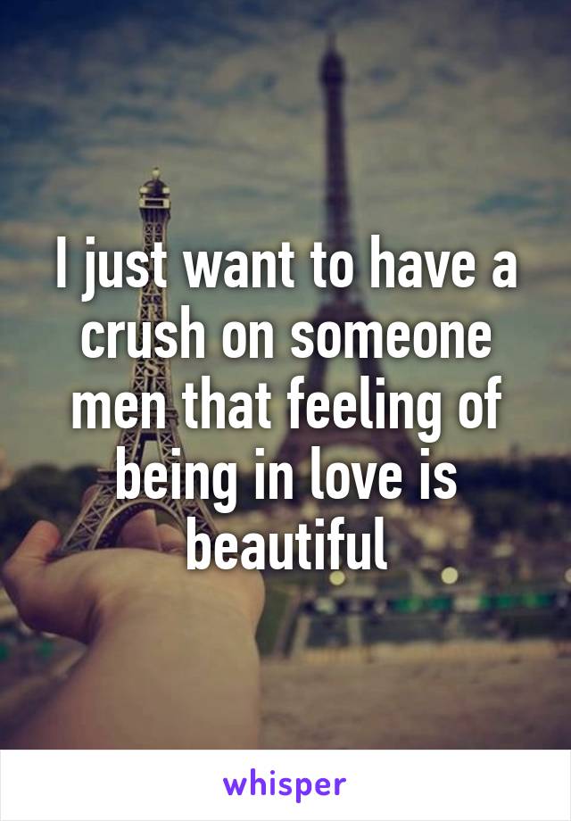 I just want to have a crush on someone men that feeling of being in love is beautiful