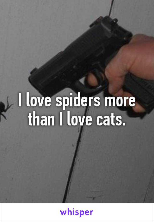 I love spiders more than I love cats.