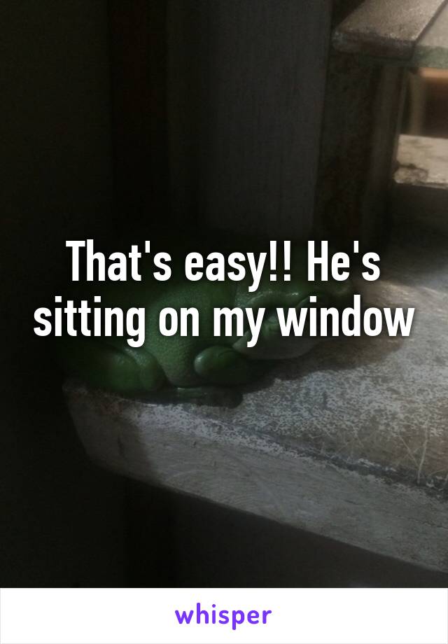 That's easy!! He's sitting on my window 