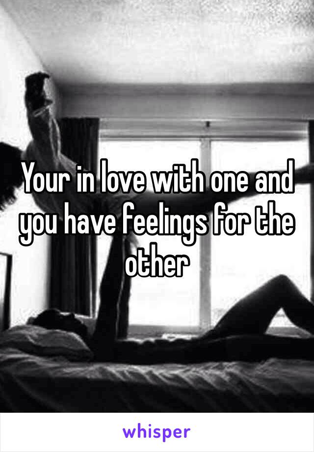 Your in love with one and you have feelings for the other 