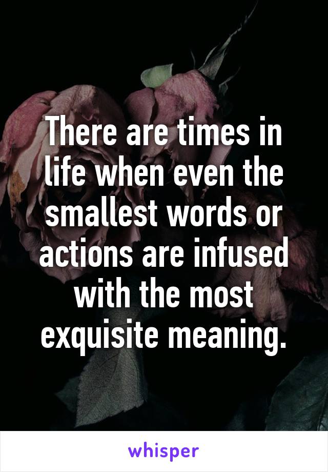 There are times in life when even the smallest words or actions are infused with the most exquisite meaning.