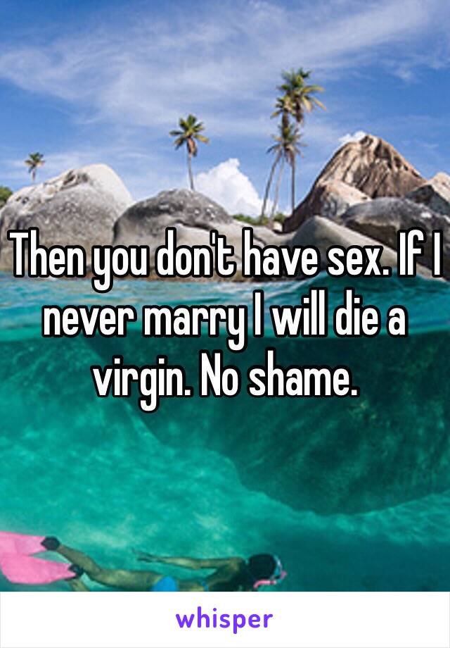 Then you don't have sex. If I never marry I will die a virgin. No shame.