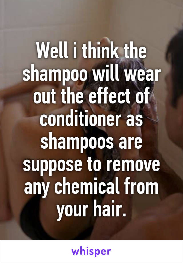 Well i think the shampoo will wear out the effect of conditioner as shampoos are suppose to remove any chemical from your hair.