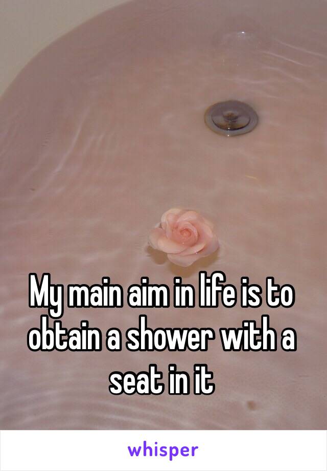 My main aim in life is to obtain a shower with a seat in it