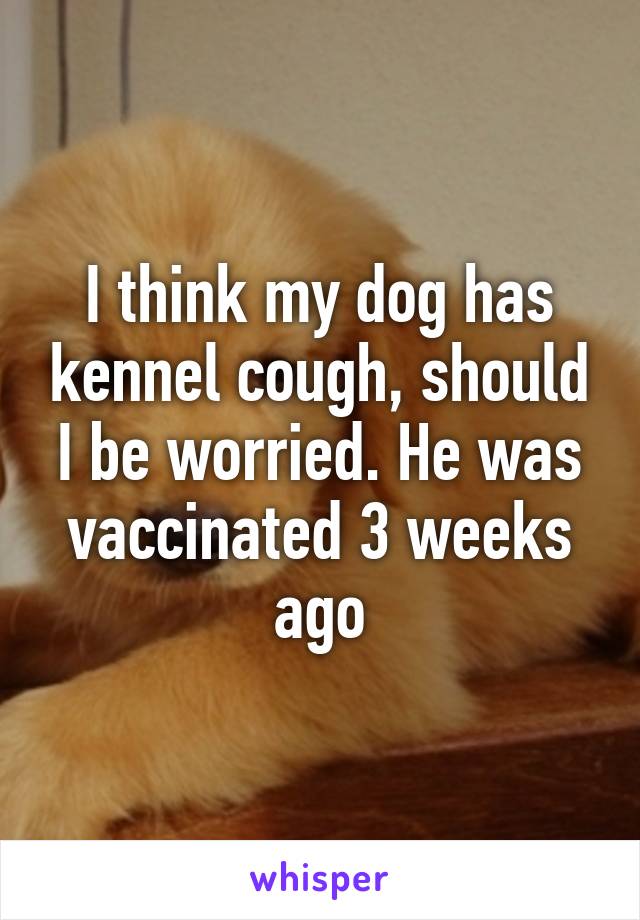 I think my dog has kennel cough, should I be worried. He was vaccinated 3 weeks ago