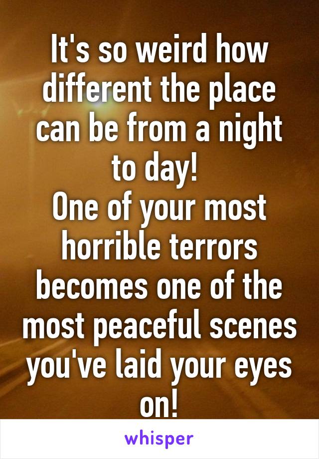 It's so weird how different the place can be from a night to day! 
One of your most horrible terrors becomes one of the most peaceful scenes you've laid your eyes on!