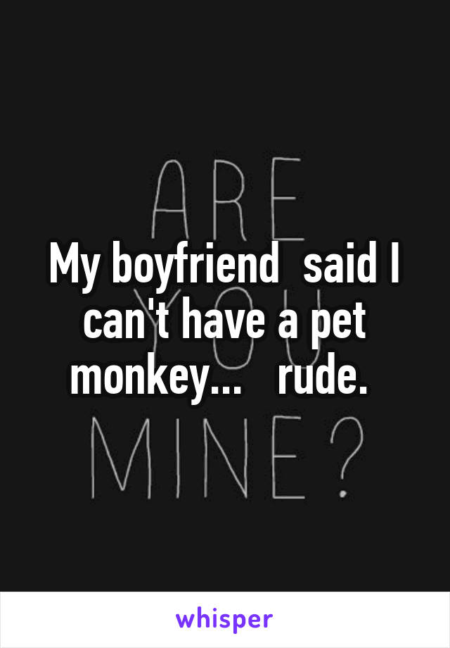 My boyfriend  said I can't have a pet monkey...   rude. 