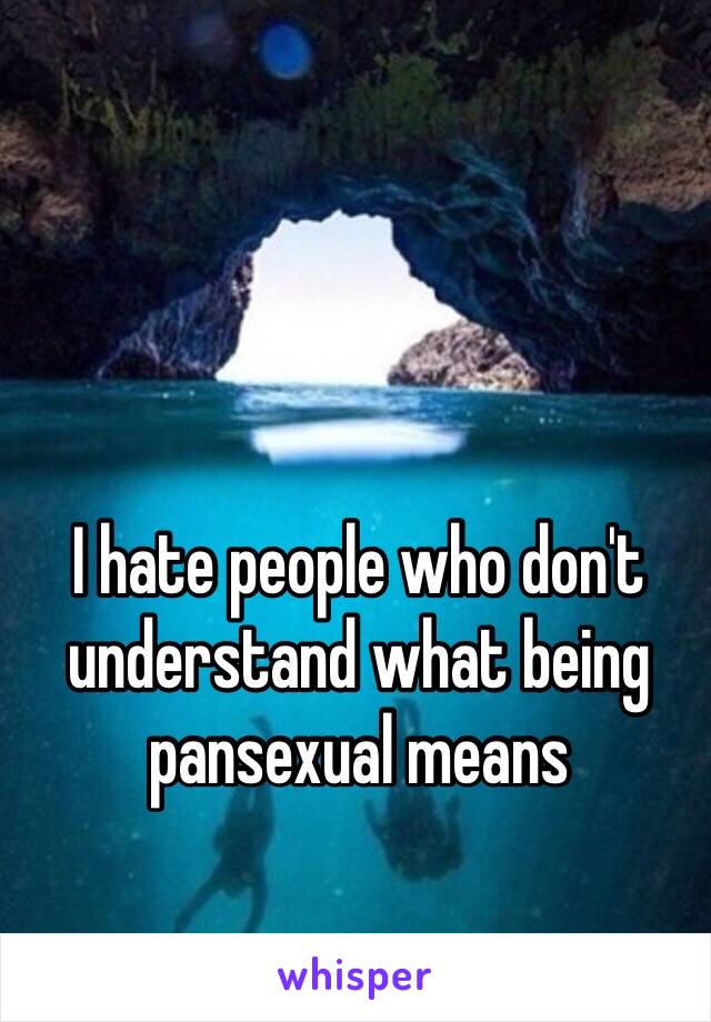 I hate people who don't understand what being pansexual means