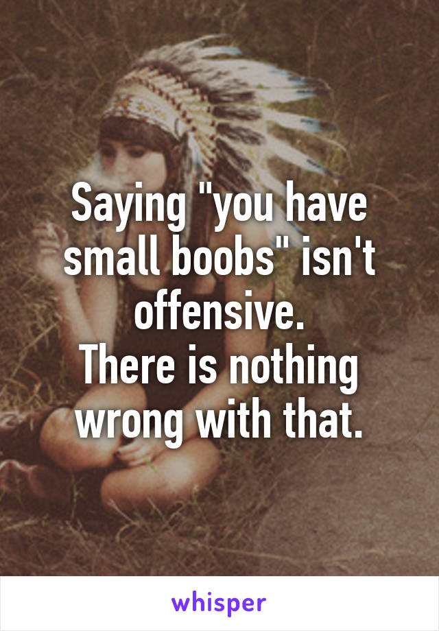 Saying "you have small boobs" isn't offensive.
There is nothing wrong with that.