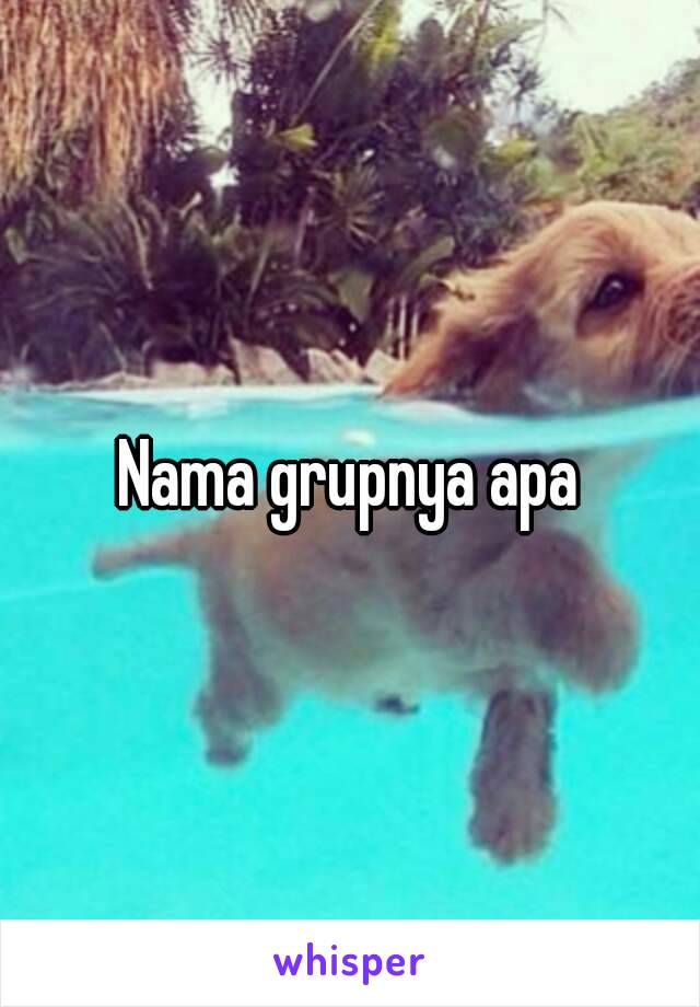 Nama grupnya apa