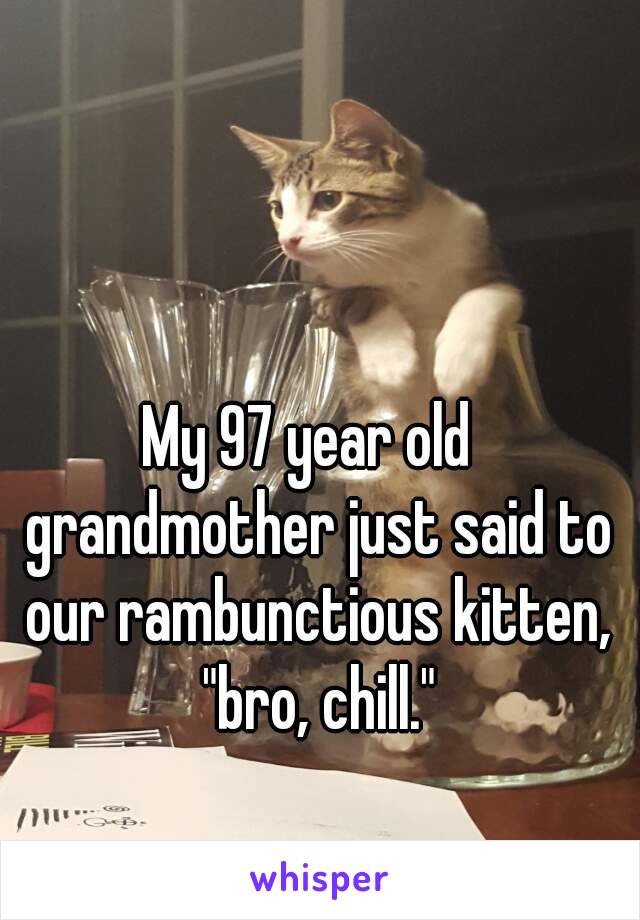 My 97 year old  grandmother just said to our rambunctious kitten, "bro, chill."