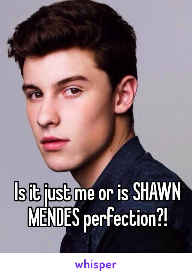 Is it just me or is SHAWN MENDES perfection?!