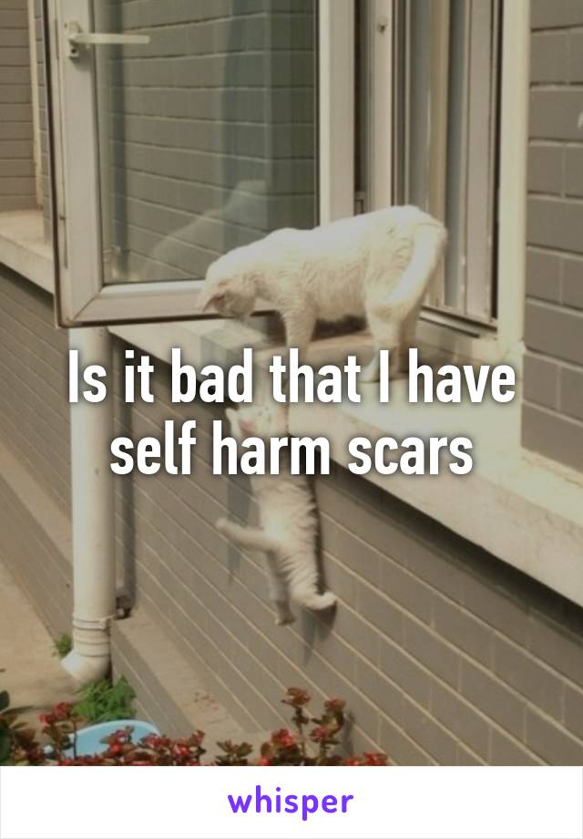 Is it bad that I have self harm scars