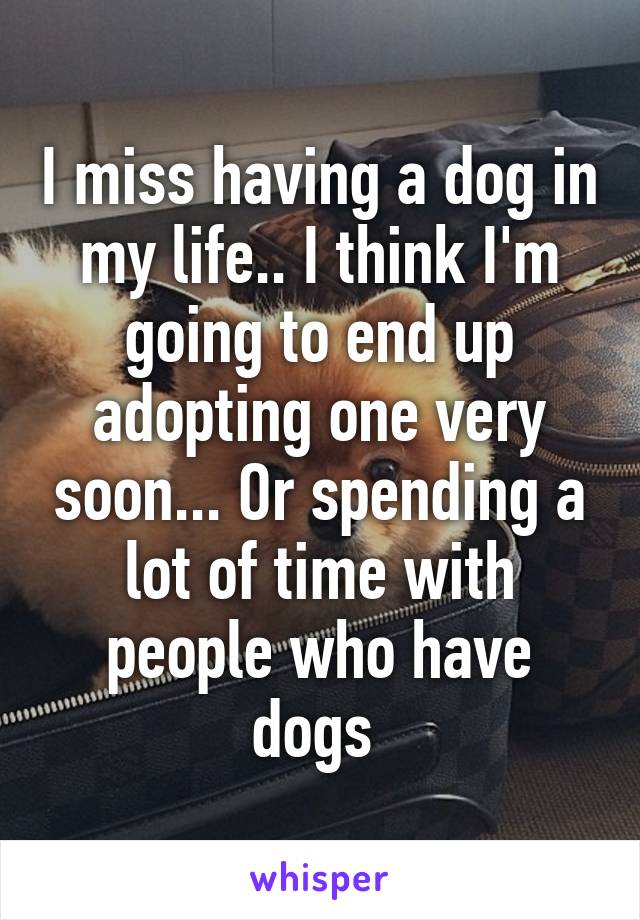 I miss having a dog in my life.. I think I'm going to end up adopting one very soon... Or spending a lot of time with people who have dogs 