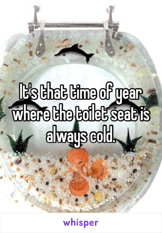 It's that time of year where the toilet seat is always cold. 