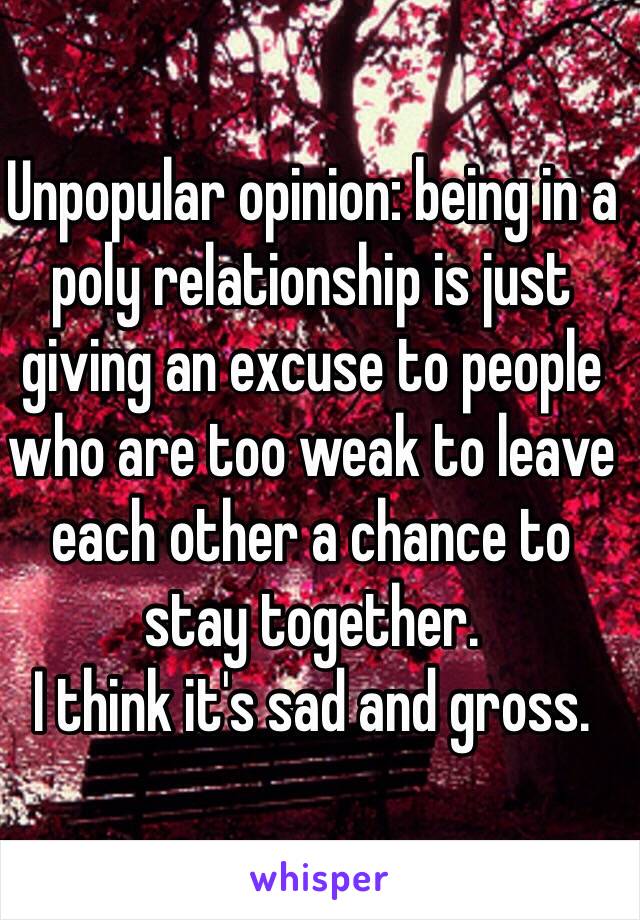 Unpopular opinion: being in a poly relationship is just giving an excuse to people who are too weak to leave each other a chance to stay together.
I think it's sad and gross.