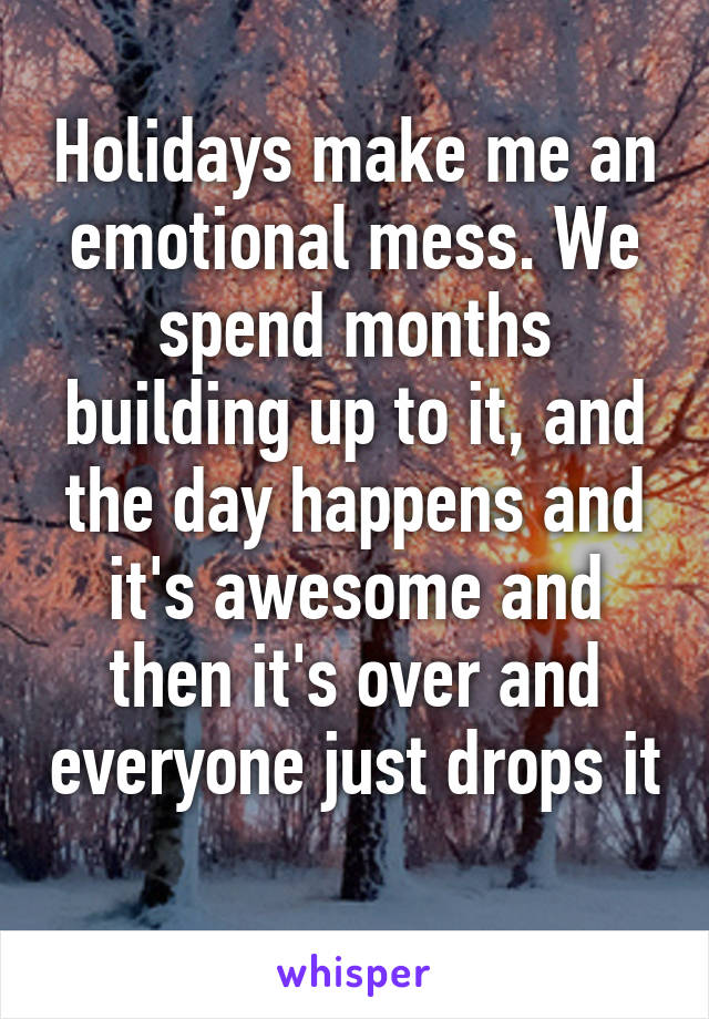 Holidays make me an emotional mess. We spend months building up to it, and the day happens and it's awesome and then it's over and everyone just drops it 