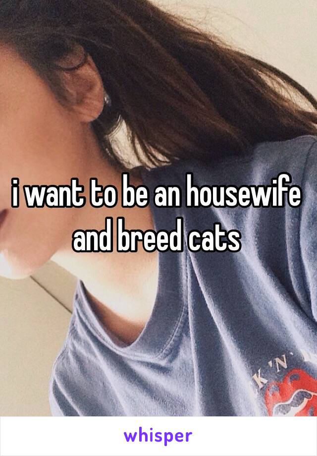 i want to be an housewife and breed cats