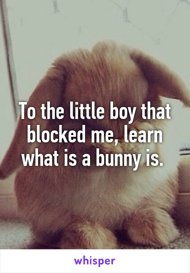 To the little boy that blocked me, learn what is a bunny is. 