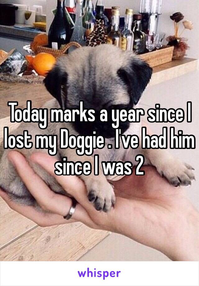 Today marks a year since I lost my Doggie . I've had him since I was 2 