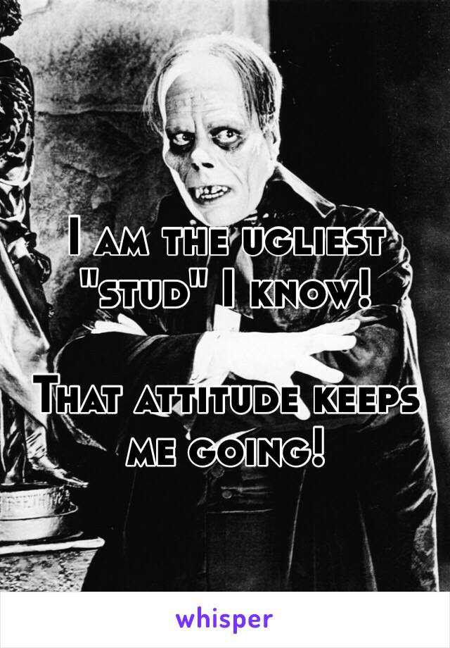 
I am the ugliest "stud" I know!

That attitude keeps me going!