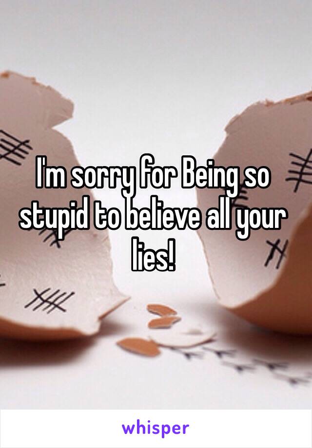 I'm sorry for Being so stupid to believe all your lies! 