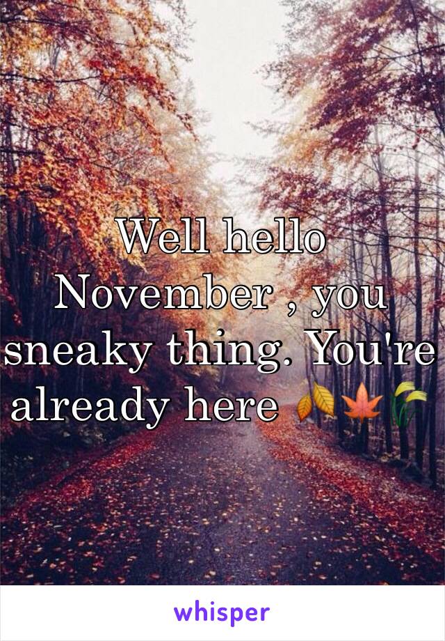 Well hello November , you sneaky thing. You're already here 🍂🍁🌾