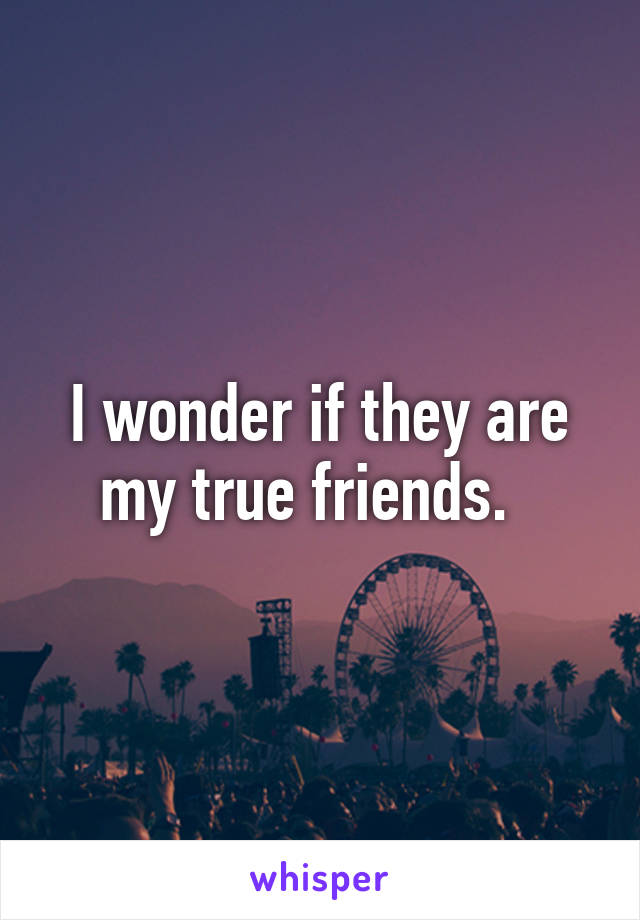 I wonder if they are my true friends.  