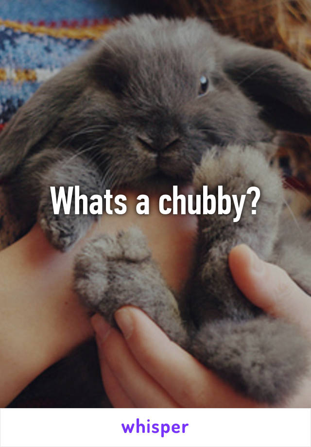 Whats a chubby?
