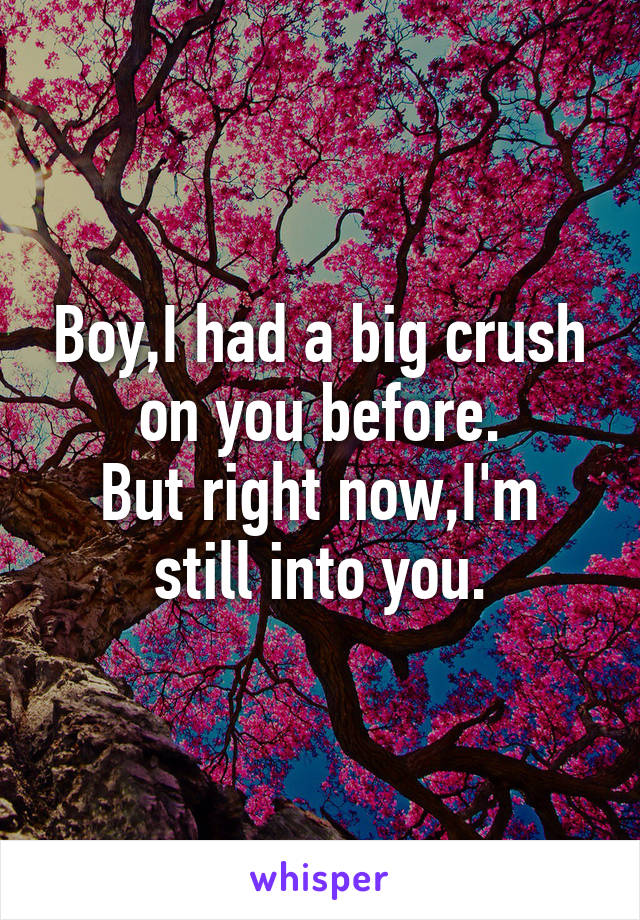 Boy,I had a big crush on you before.
But right now,I'm still into you.