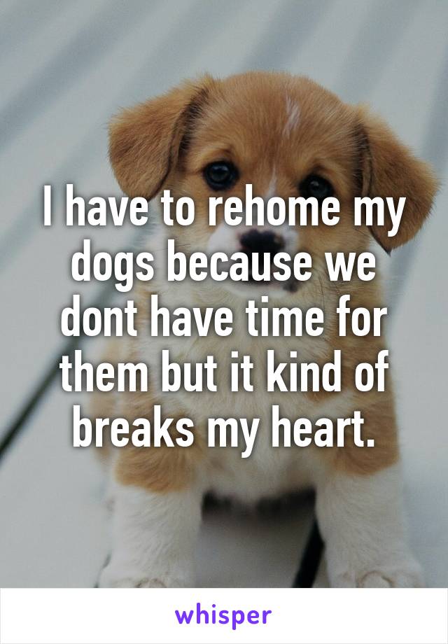 I have to rehome my dogs because we dont have time for them but it kind of breaks my heart.