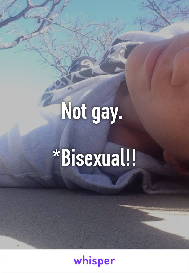 Not gay. 

*Bisexual!!