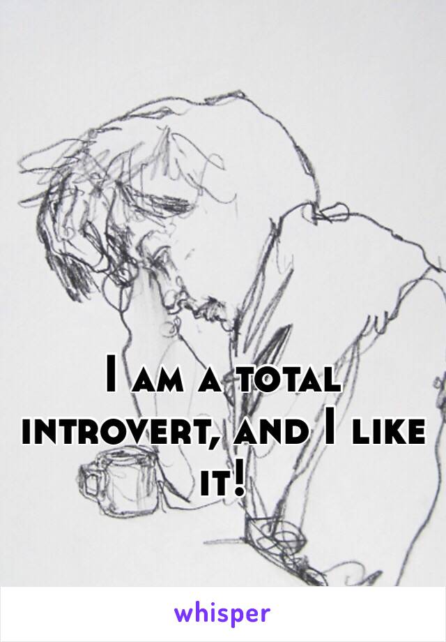 I am a total introvert, and I like it!